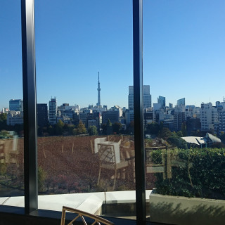 景色