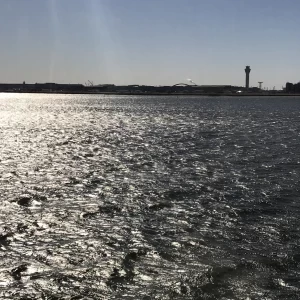 控え室からの眺め|520540さんの東京ヴァンテアンクルーズの写真(706699)