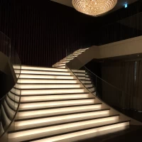 出てくる前は少し暗くするそう。
こんな感じ