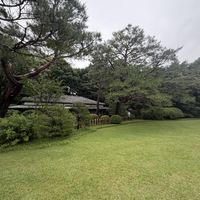 桃林荘の庭
