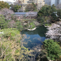 美しく広がる日本庭園