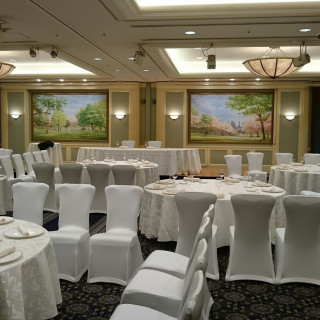 桜の会場です。