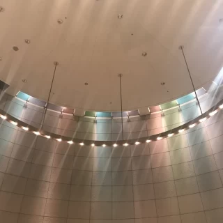 天井・照明