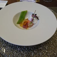 料理