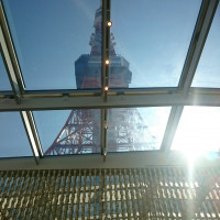 青空に東京タワーの色のコラボが大好き