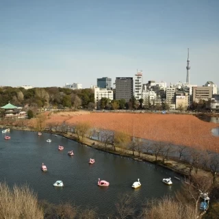 披露宴会場から上野公園が見渡せます！