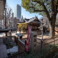 自然を感じる神社