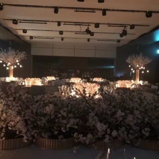 桜のセット
