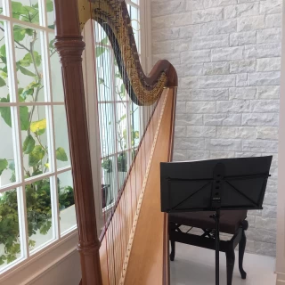 ハープ