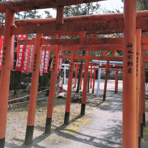 圧巻の鳥居|524336さんの八幡の森 迎賓館（尾張八幡神社）（営業終了）の写真(731125)