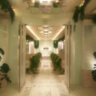 白と緑がうまくマッチしています。