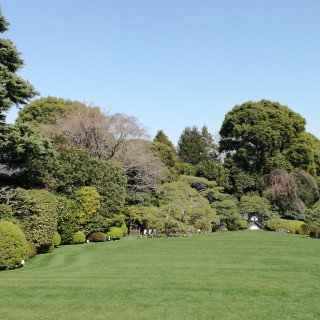 お天気が良いと綺麗