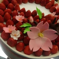 季節に合わせて桜モチーフです。