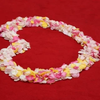 フラワーシャワーのお花でハートを作ってもらいました。