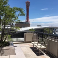 庭からの景色