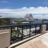 庭からの景色