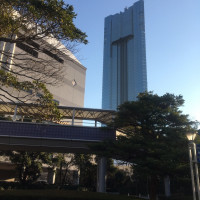 庭からの景色