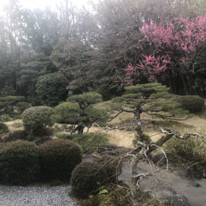 中庭は季節ごとに咲く花や紅葉があるそうです|525696さんの京都洛東迎賓館の写真(749383)