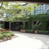 ガーデン付きの会場、あちこちに緑が溢れる