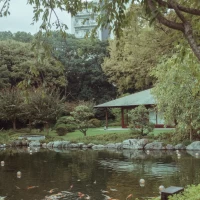 お手入れされているお庭が年配の方にも好評でした。