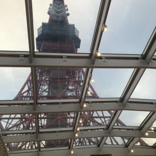 ゲストも後方席に座るとバッチリタワー全景が見えます