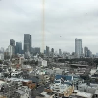 プールサイドからの見晴らし