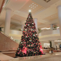 クリスマスシーズンは大きなクリスマスツリーが飾られます