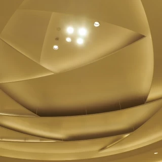 白いバラです。