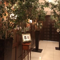 緑が見える披露宴会場入り口。
木がたくさんあっておしゃれ。
