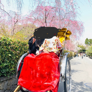 人力車での散歩|527006さんの桜鶴苑の写真(742411)