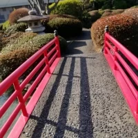 挙式会場に行くまでに赤い橋を渡りました