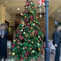 クリスマスツリーがでていました！