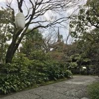 入り口から入ってすぐの石畳。