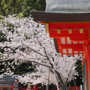 境内|528241さんの生田神社会館の写真(749867)