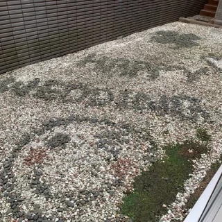 待機室から見えるお庭