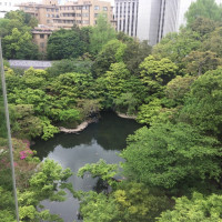 建物から見た庭園の風景