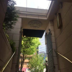 レストラン入り口の階段|528548さんのリストランテ・サバティーニ 青山の写真(838669)