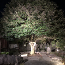 ユーザー写真 画像 合計8枚 木斛邸 ウエディングパーク