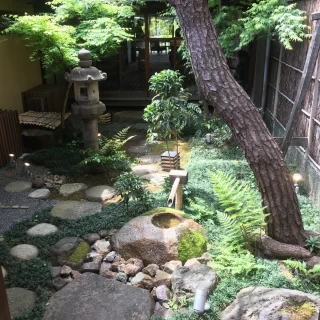 たぶん通路ではなく見て楽しむようの小さい庭