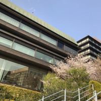 外観を撮ったもので、3月は桜がきれいです。