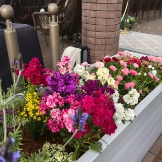 チャペル前の花壇