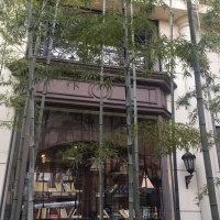エントランス横です。竹林があります。