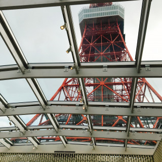 見上げると大迫力の東京タワー