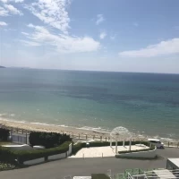 目の前に広がる海と砂浜