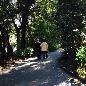 地元の人もよく訪れます|529434さんの宗像大社の写真(770453)