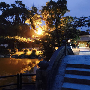 夜のライトアップには池に光が映ります|529434さんの宗像大社の写真(770458)