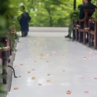 フラワーシャワー