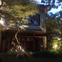 夜は綺麗です