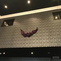 マジックミラーになってて様子が見えます