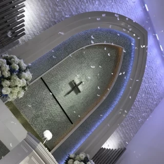 羽がまってて幻想的